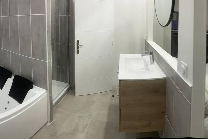 Gîte pour 2 personnes, avec terrasse ainsi que jacuzzi et jardin, animaux acceptés à Chasse-sur-Rhône - 2