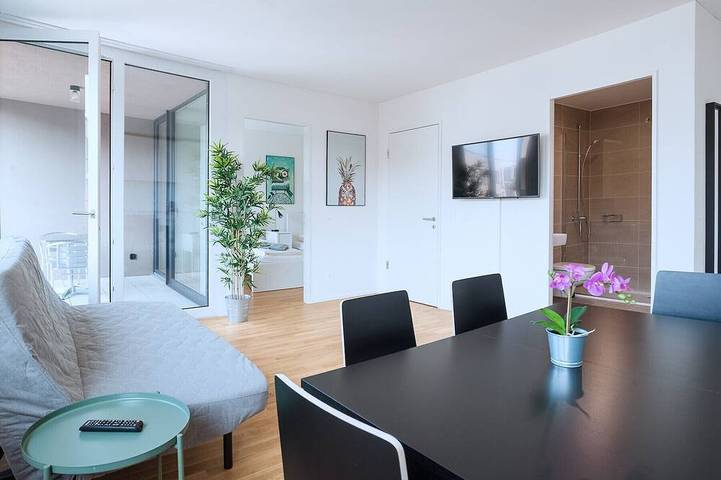 Apartamento entero, Bs Owl Iii - Messe Hitrental Apartment in Basel Zustellkreis, Basilea
