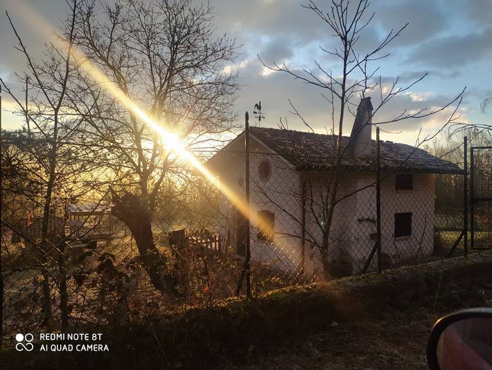 Baita per 6 persone, con Balcone e Giardino in 