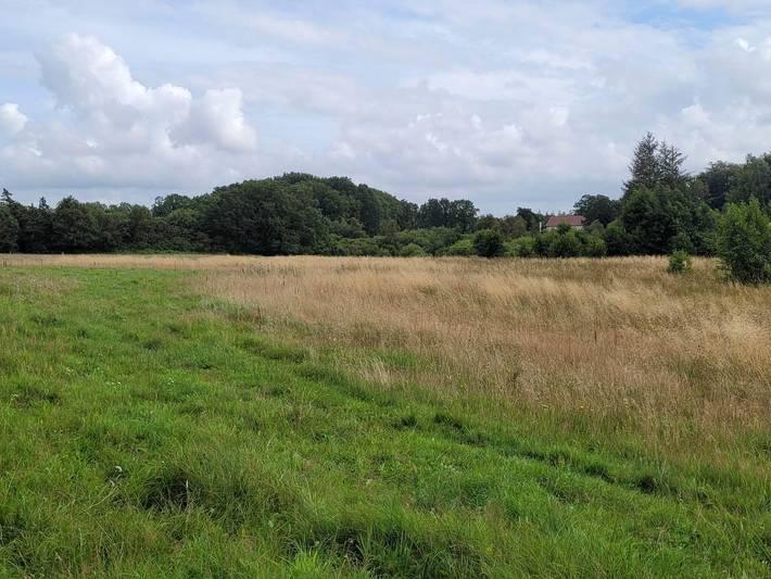 5 Personen Ferienhaus in Grindsted in Starup, Varde