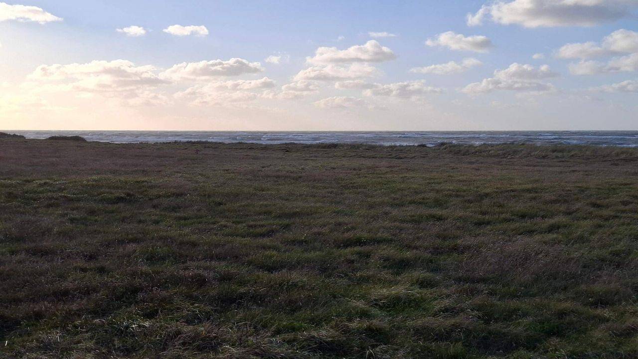 Ferienhaus für 10 Personen (135 m²) in Ålbæk in Skiveren, Tannisbucht