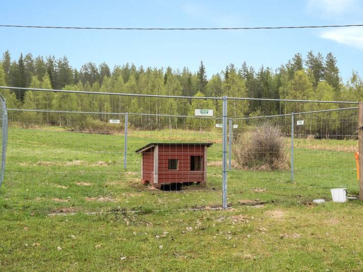 Rantala in Laponie