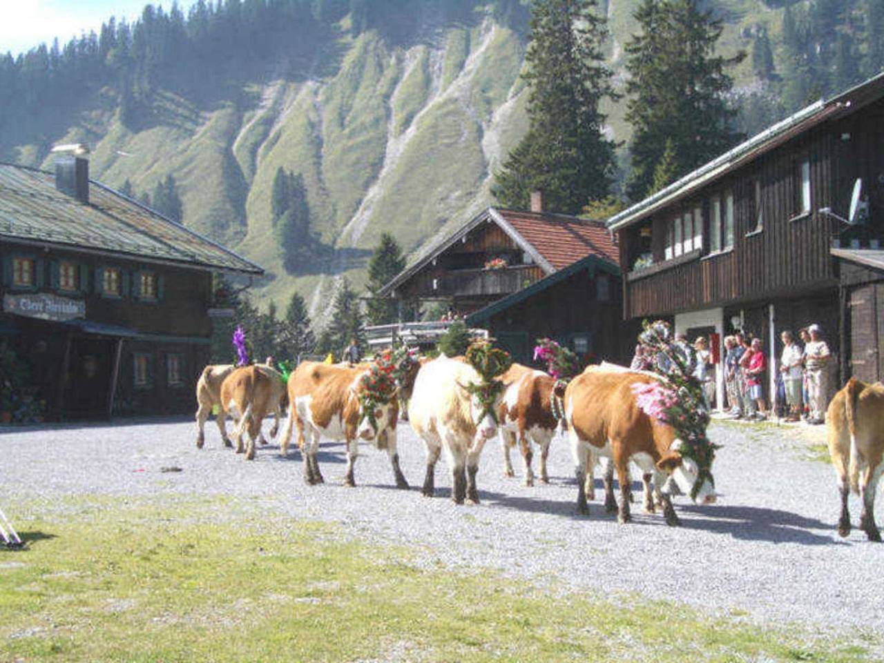 Berggasthof Obere Firstalm in Schliersee, Alpenland Tegernsee Schliersee