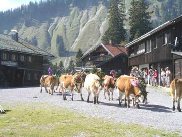 Ferienwohnung für 6 Personen in Schliersee, Bayerische Alpen, Bild 2