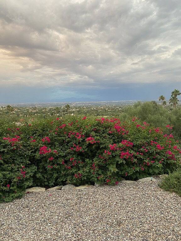 Vacation rental for 10 people, with terrace in Catalina Foothills