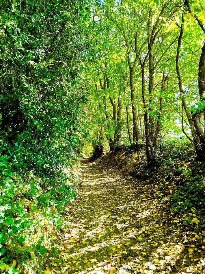 Chambre d’hôte pour 4 personnes, avec jardin, animaux acceptés dans Oise - 3