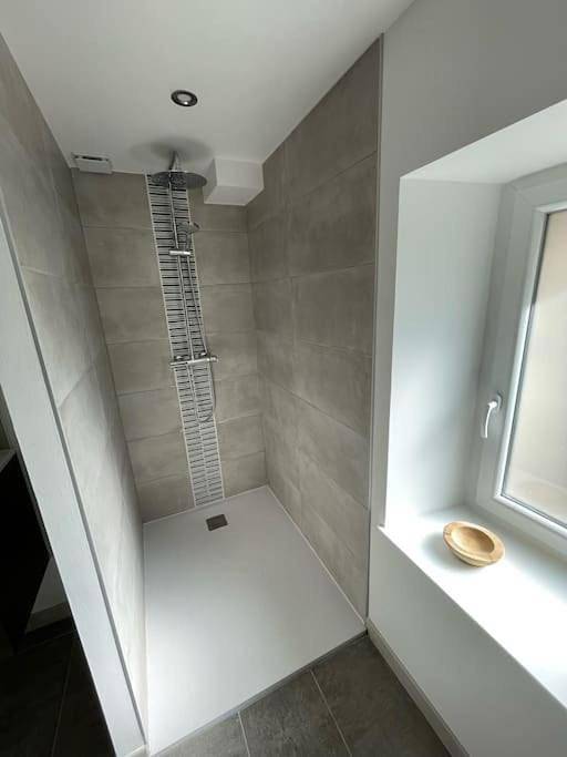 Gîte pour 5 personnes, avec jardin à Celles-sur-Plaine - 2