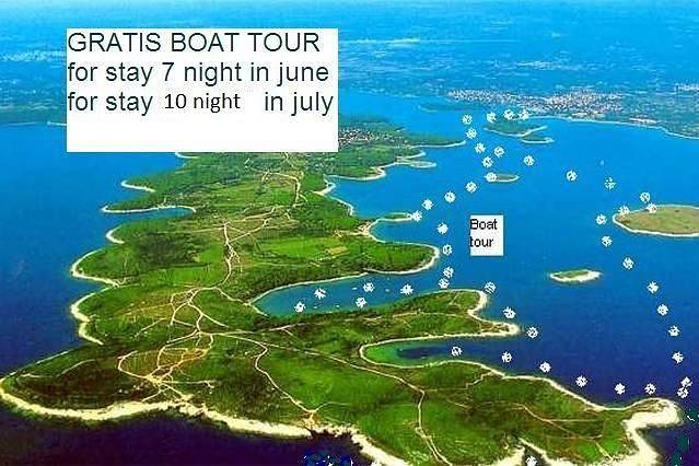 Villa für 10 Personen, mit Pool und Terrasse in Medulin - 3