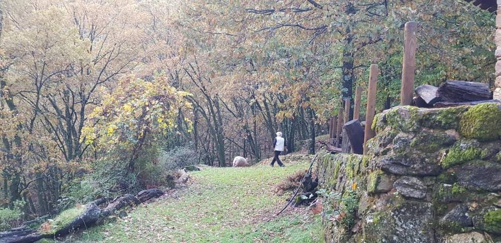 Casa rural para 4 personas, con vistas y jardín en Sierra de Gredos - 2