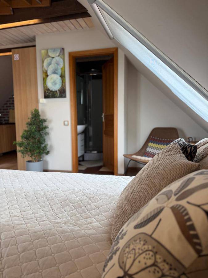 Ganze Wohnung, Studio Apartment in Preila, Kurische Nehrung
