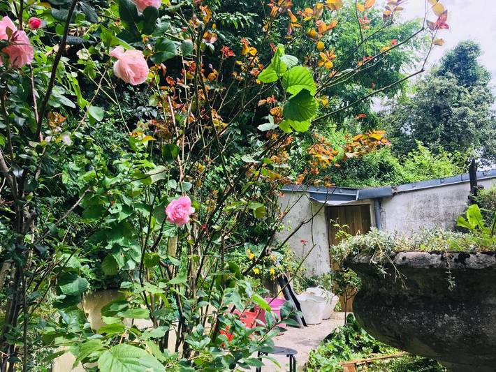 Appartement de vacances pour 2 personnes, avec Terrasse et Jardin à Namur - 4