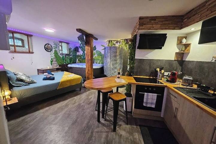 Entire apartment, Jacuzzi relaxation near Colmar in Bergheim (Alsace), Parc naturel régional des Ballons des Vosges