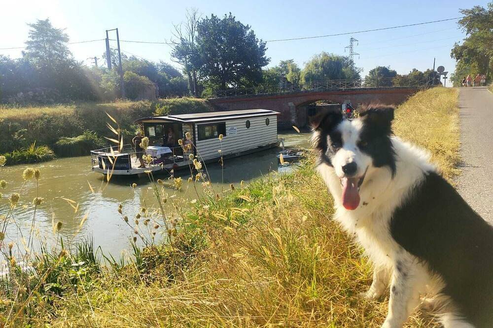 Solar Boat On The Garonne Canal departing from Castelsarrasin. in Casseneuil, Région de Villeneuve-sur-Lot