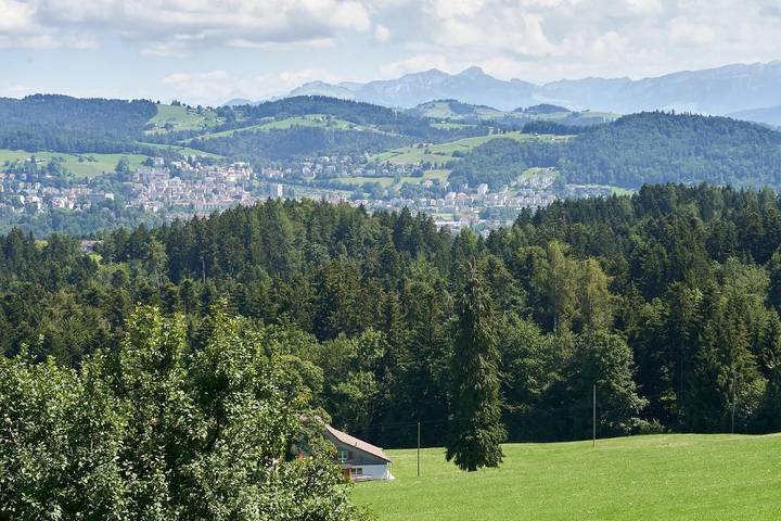 Bauernhof für 6 Personen, mit Garten und Balkon in der Schweiz - 4