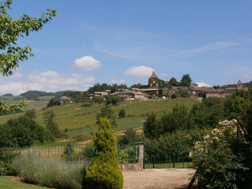 L' Allée des Pommiers in Leynes, Mâcon region