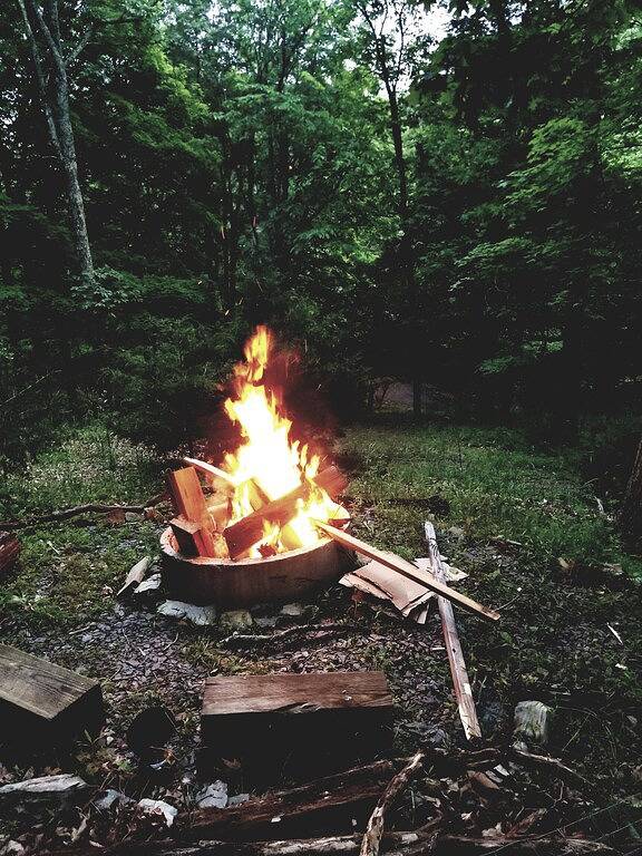 High View Hideaway - Ein gemütliches Verlorene River Cabin Escape - Neu renoviert! in Seneca Rocks