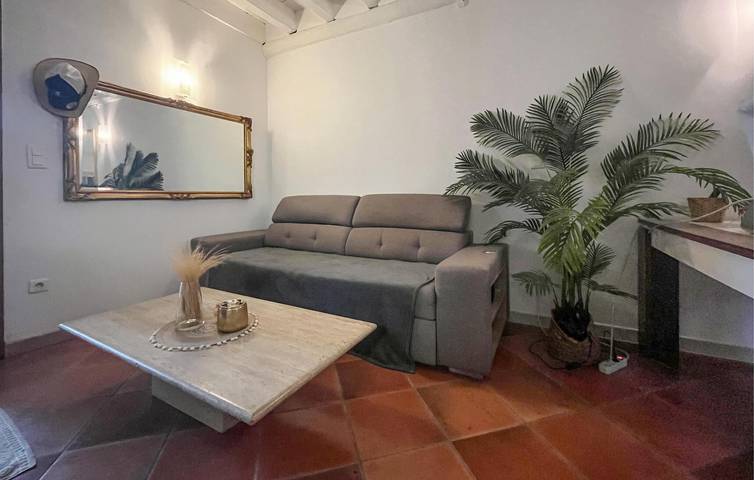 Location de vacances pour 4 personnes, avec terrasse et piscine à Saint-Martin-de-Crau - 3