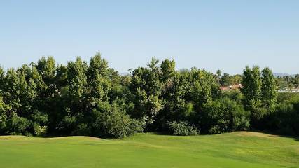 Apartment for 6 Guests in Phoenix, Maricopa County, Picture 3