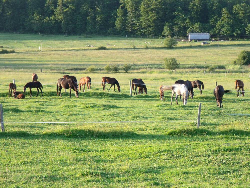 Chambres d'hôtes Chez Evelyne - Chambre Hugues in Lorquin, Sarrebourg