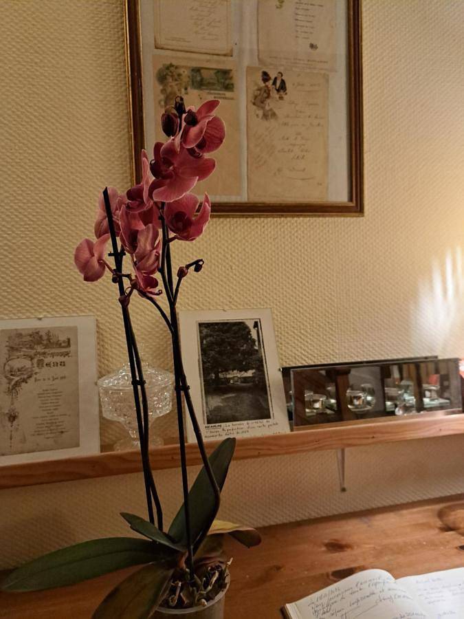 Hôtel pour 16 personnes, avec terrasse à Meaulne - 4