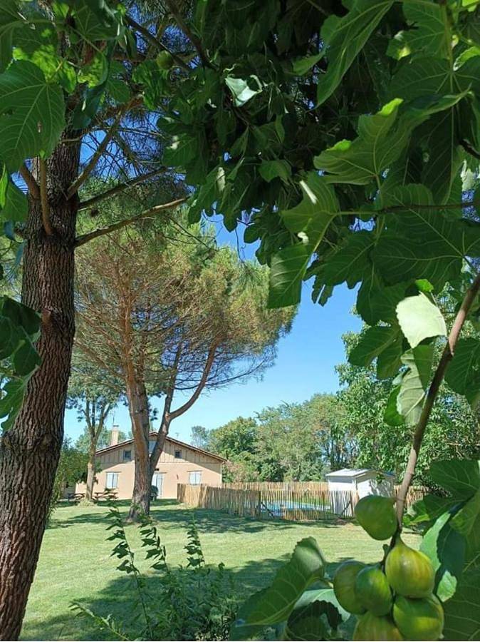 Location de vacances pour 15 personnes, avec jardin et piscine à Touget