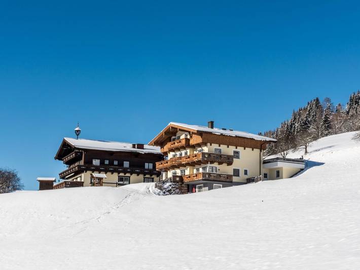 Ganze Wohnung, Atemberaubendes Panorama, Raum, Ruhe und ein Schwimmbad
 in Goldegg, Ski Amadé
