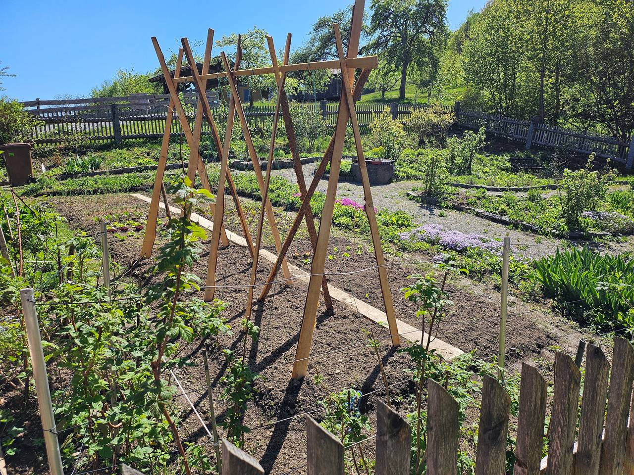 Kräuterhof - Löwenzahn in Ringelai, Ostbayern