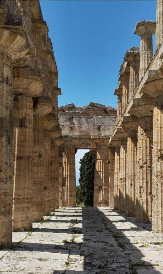 Cilentorooms Paestum in Licinella - Torre di Paestum, Capaccio