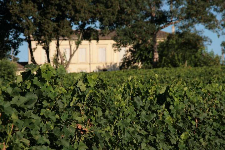 Location de vacances pour 2 personnes, avec piscine ainsi que vue et jardin à Saint-Germain-du-Puch - 4