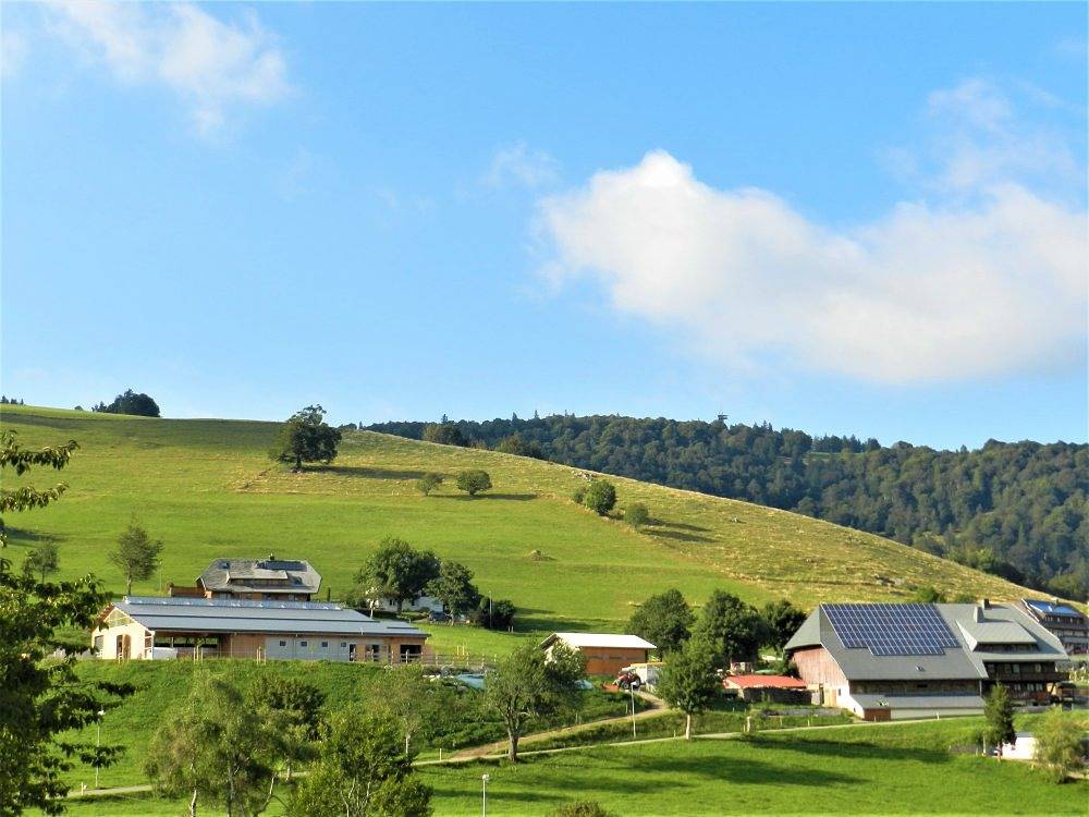 Kirchlehof - Schauinslandblick in Hofsgrund, Oberried