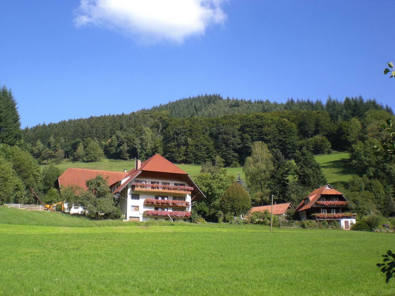 Geigerbauernhof - Ferienwohnung Schwalbennest in Muhlenbach, Foresta Nera centrale