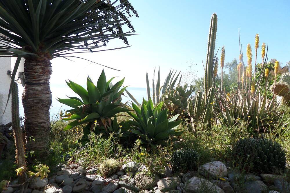 Entire apartment, Apartment in a beautiful, quiet location with stunning panoramic views across the sea in Velilla-Taramay, Almuñecar