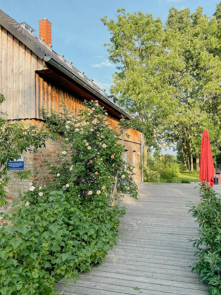 Ferienhaus für 9 Personen, mit Terrasse, mit Haustier in Uckermark - 3