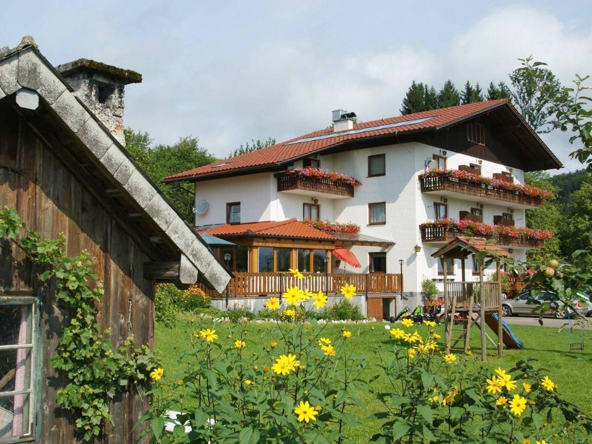 Ganzes Studio, Biobauernhof Nussbaumer in Nußdorf am Attersee, Bezirk Vöcklabruck