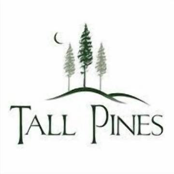 Vacation House for 6 Guests in Ozark Mountains, Table Rock Lake, Picture 4