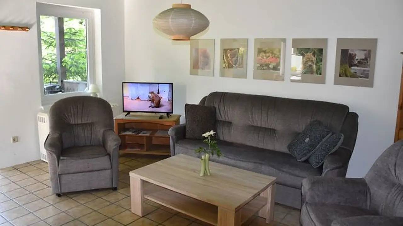 Ferienhaus für 4 Personen (55 m²) in Wustrow (Strelitz) in Wustrow (Mecklenburgische Seenplatte), Mecklenburg-Strelitz