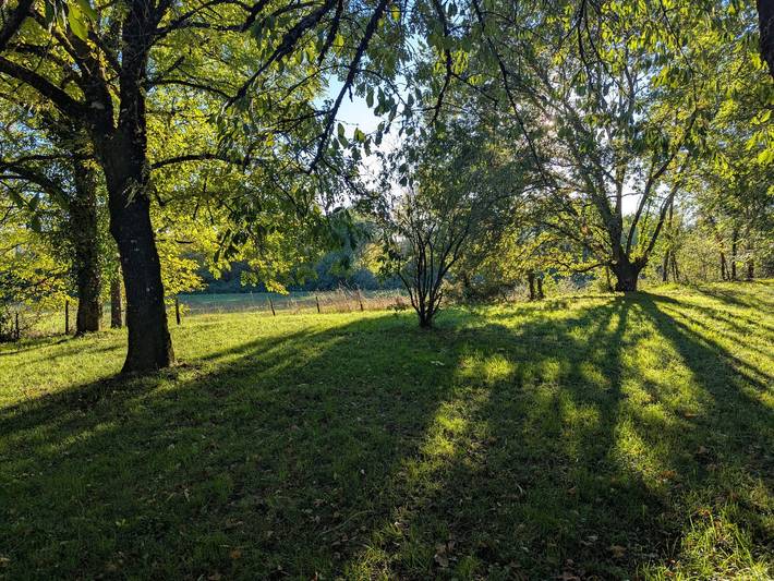 Chambre d’hôte pour 4 personnes, avec sauna ainsi que jardin et jacuzzi en Dordogne - 4