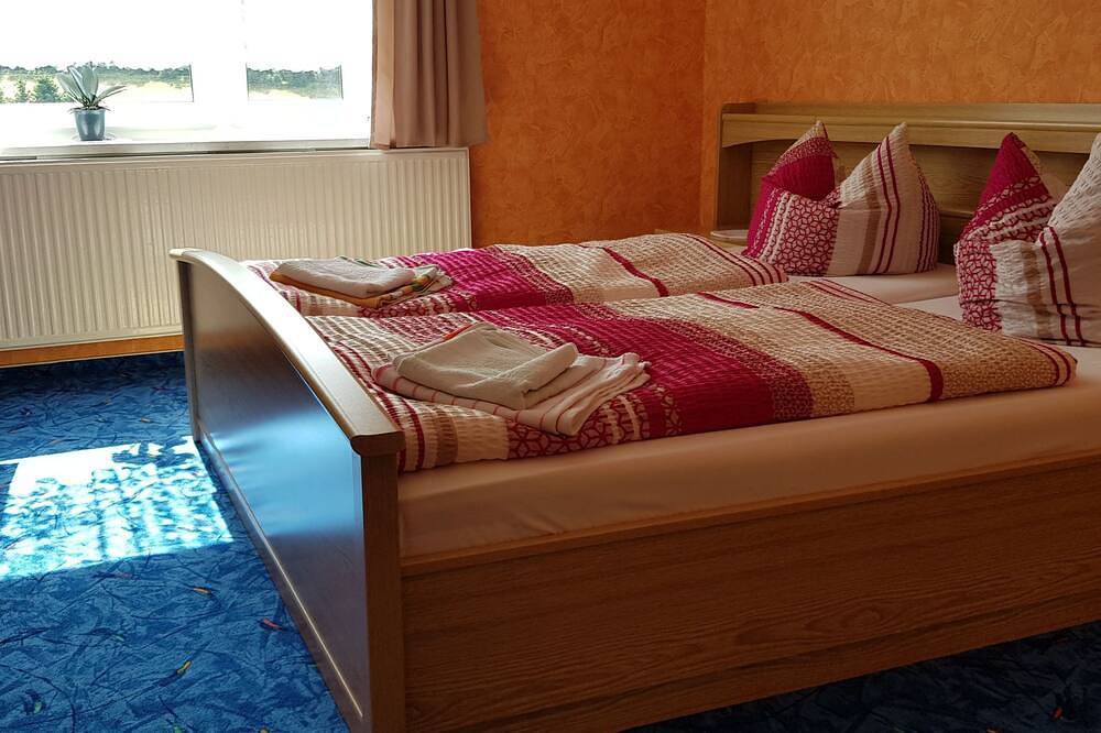 Ganze Wohnung, Ferienzimmer in Neuhaus am Rennweg, Rennsteig