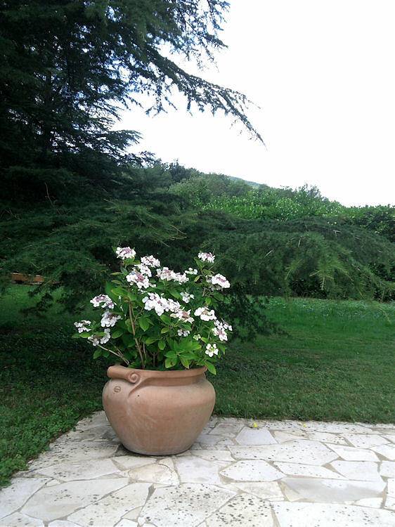 Gîte pour 4 personnes, avec jardin ainsi que terrasse et piscine dans le Tarn-et-Garonne - 3