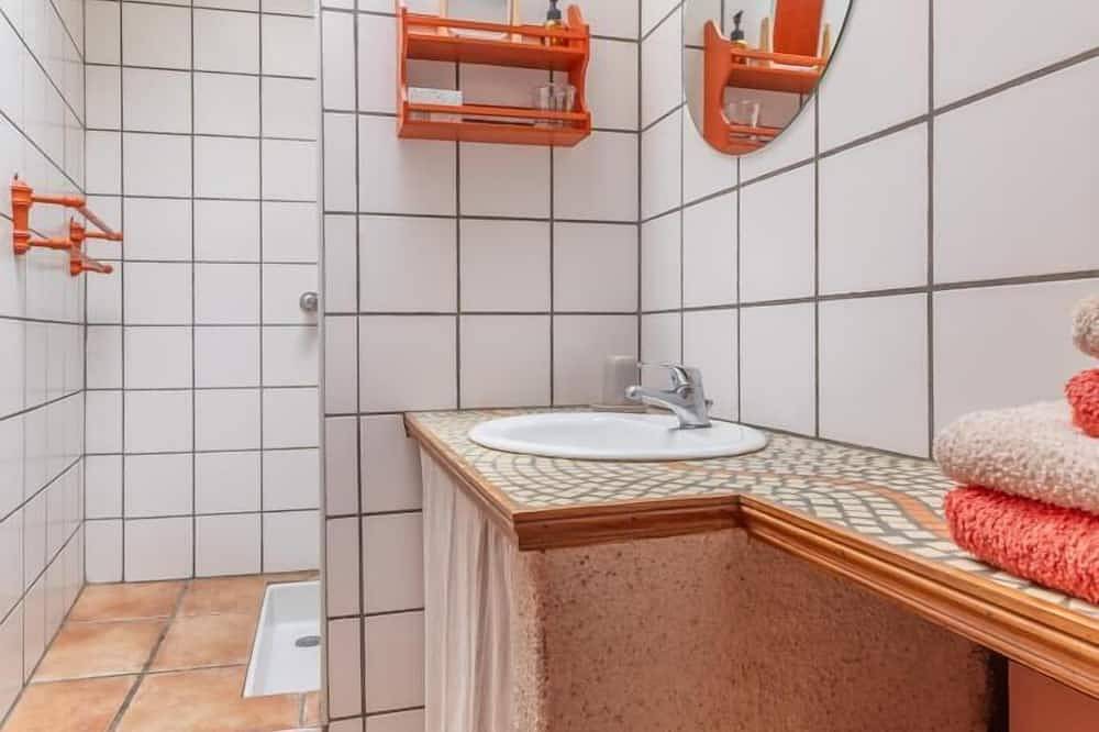 Paulownia - Authezat in Authezat, Clermont-Ferrand region