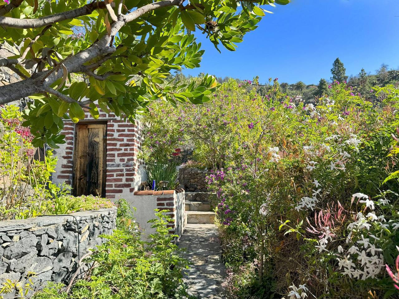 La antigua escuela in Tijarafe, La Palma Nord