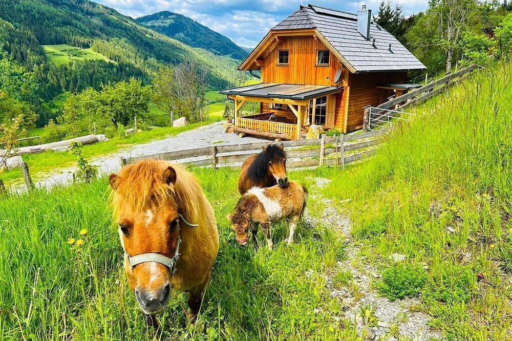Lärchenhaus ,,Unterer Brodl\" in Rottenmanner und Wölzer Tauern, St. Peter am Kammersberg
