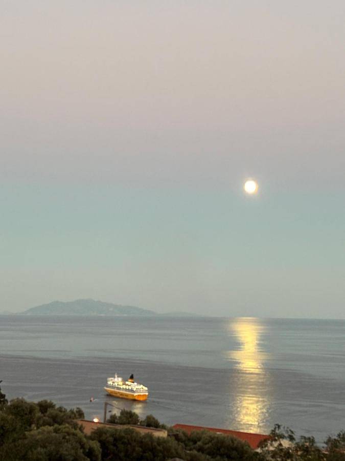 Chambre d’hôte pour 2 personnes, avec vue et jardin ainsi que piscine et terrasse à Bastia - 3