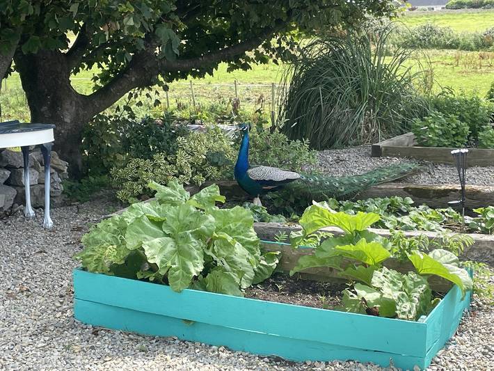 Scheune für 5 Personen mit Garten in Donegal, County Donegal