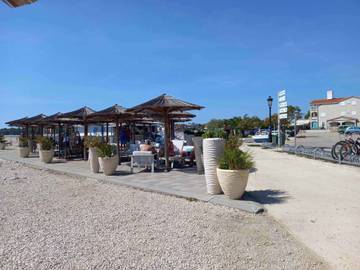 Strandhaus für 6 Personen in Vir, Kroatische Adria, Bild 3