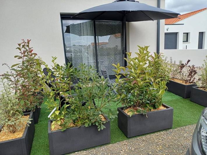 Location de vacances pour 2 personnes, avec terrasse et vue à Soullans - 3
