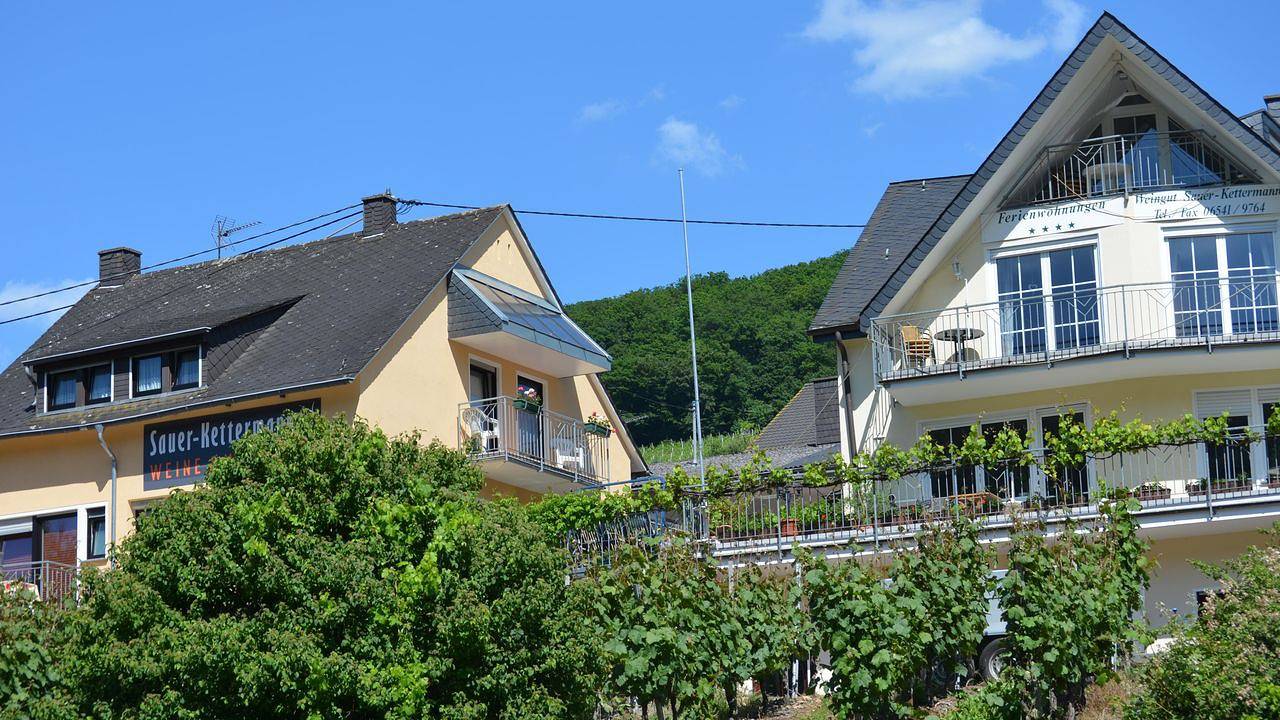 Ganze Ferienwohnung, Ferienwohnung für 7 Personen (80 m²) in Enkirch in Enkirch, Bernkastel-Kues & Umgebung