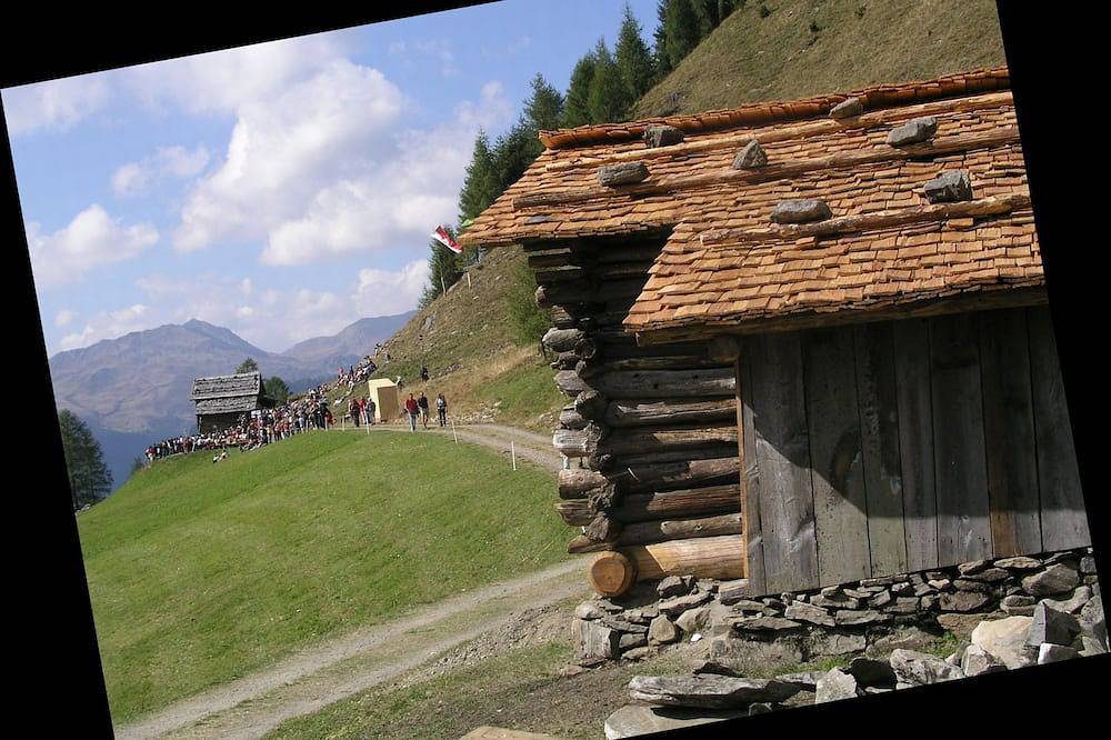 Ganze Wohnung, Wohlfühl-Angererhof: Nähe Drei Zinnen - Appartement Monte Cristallo (2P) - Aktiv in Kartitsch, Karnischer Hauptkamm