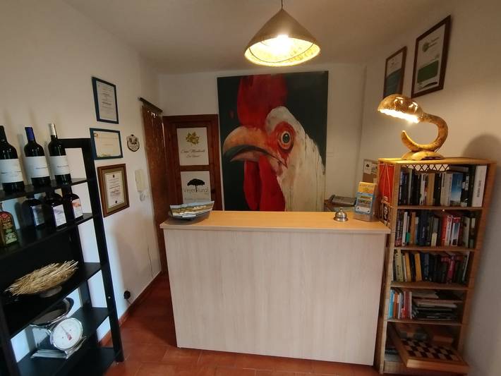 Hel lägenhet, Maisonette Apartment with the Best Views in Vejer de la Frontera, Costa de la Luz