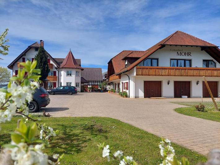 Maison d’hôte pour 2 personnes, avec terrasse à Meersburg - 2